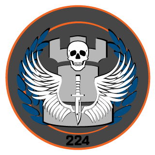TF-141 TSAR Squadron's emblem