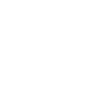thinhghost94's emblem