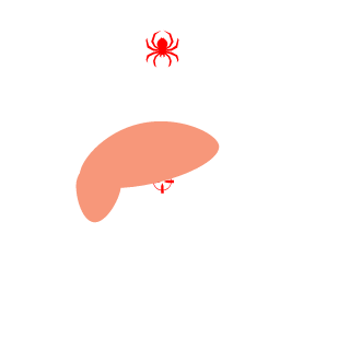 Mashif's emblem