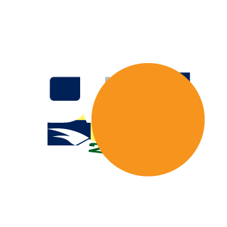 StekhouseRust's emblem