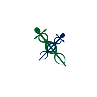 StrikerT1's emblem