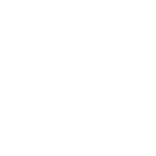 zp1ken's emblem