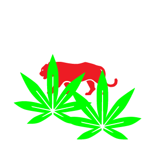 1_trimplayer_1's emblem