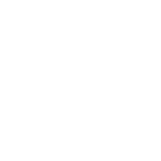 SparklyFarts's emblem
