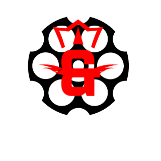 heksl01's emblem