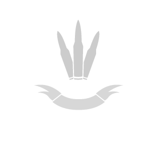 FORTIS_007's emblem