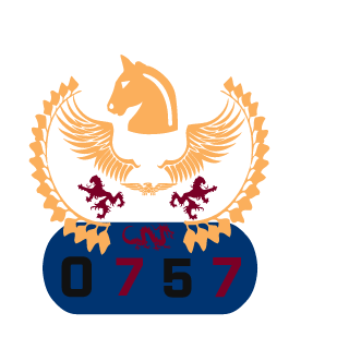 Pegasus0757's emblem