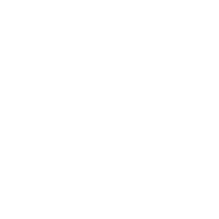 SilberAdler2263's emblem
