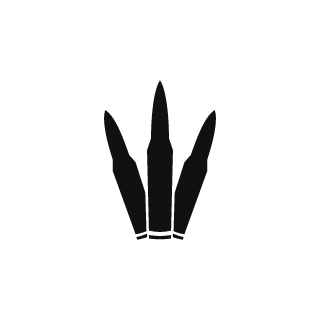 GabinoSilvaaa's emblem