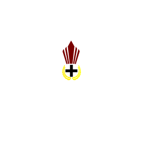 TiagoTruta's emblem
