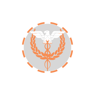 RCT762's emblem