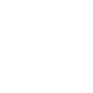 NinjaBaianor's emblem