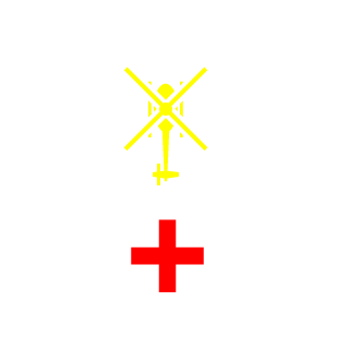 Skygirlx's emblem