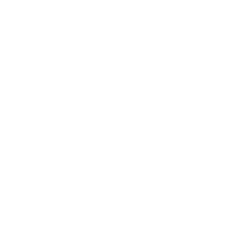 Shushady's emblem