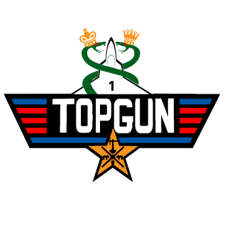 Top Gun Aces Forces's emblem