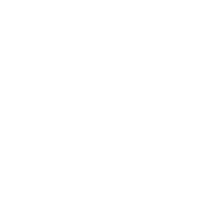 BlackSwordKirito's emblem