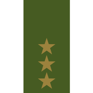 TheGamingBur696's emblem