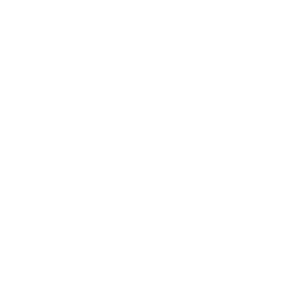 9six9's emblem