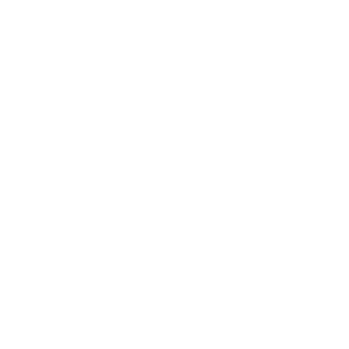 706Commando's emblem