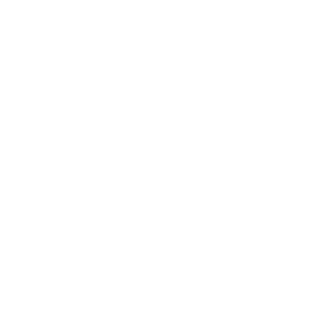 alha_version's emblem