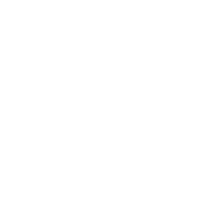 9ba0fb9a8fbf5300's emblem