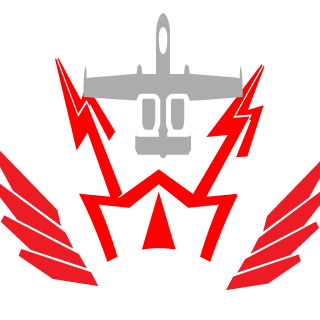 mr_fleshko's emblem