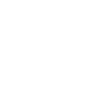 xXTHEDEALER's emblem