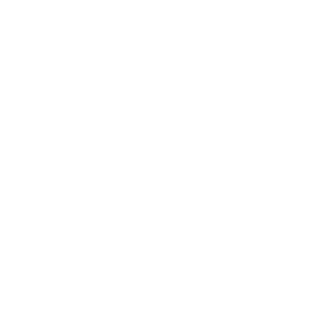29t88's emblem