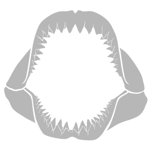 supermeathead2's emblem