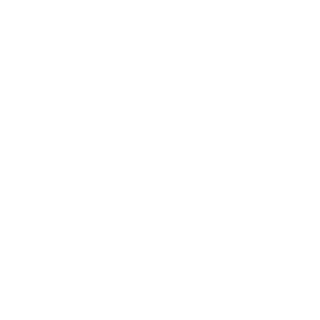 nasloe's emblem