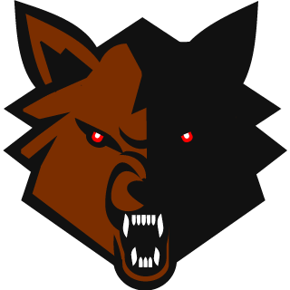 UltraDmitriy's emblem