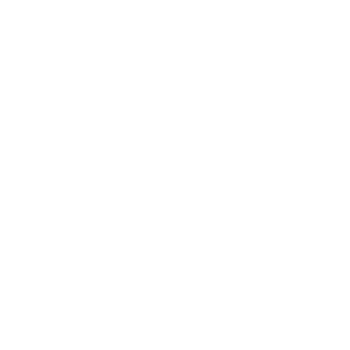 FN1C0's emblem