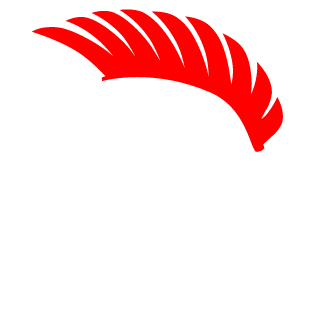 skywinterwhy's emblem