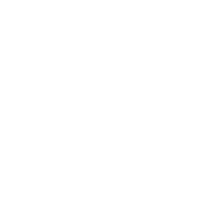 11di0ticd0ge's emblem
