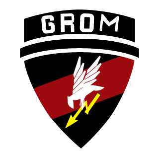 1kr4sh1's emblem