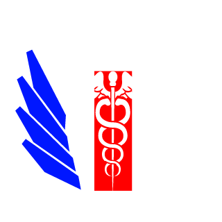 973247's emblem