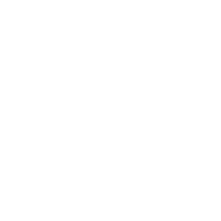 NiebieskiFocus's emblem