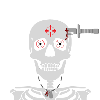 nomeatbrawler's emblem