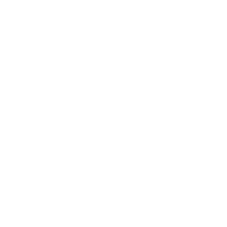 GoldenSoldier251's emblem