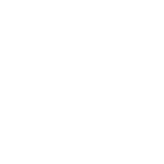 Bokeh_CL's emblem
