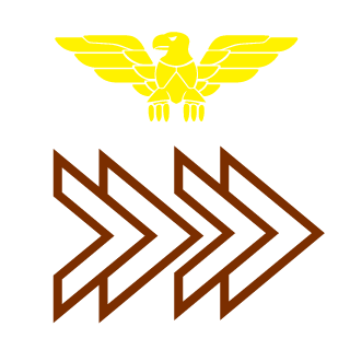 RUS_NIK78729's emblem