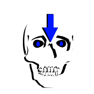 KankleSnap's emblem