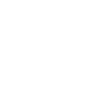 AnanasOnhePizza's emblem