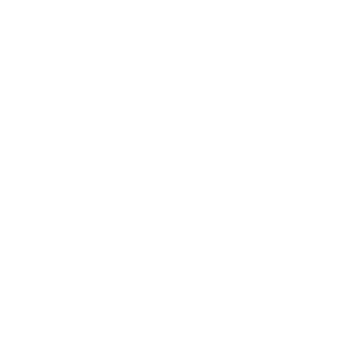 Balletproof's emblem