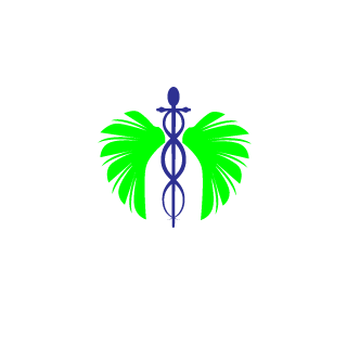 P1R4T3_GR4C3's emblem