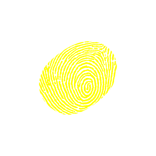 Nowemikoja's emblem