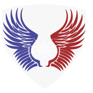 1darkshin3's emblem