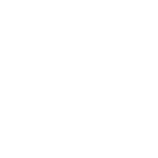 NorwegianMoDs's emblem