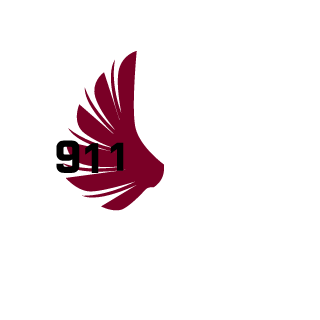 1PrinceHD1's emblem