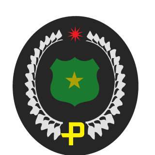 PK_Babayaga's emblem
